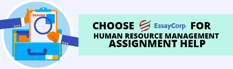  Human Resource Management Assignment